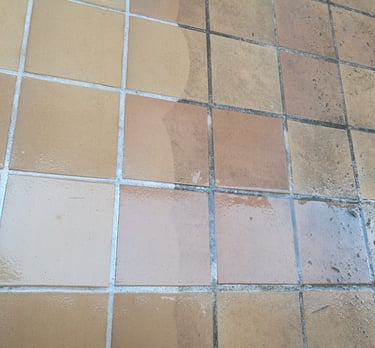 LIMPIEZA CON AGUA A PRESIÓN