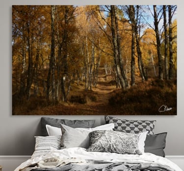Canvas Print on wall above a double bed with pillows and a Duvet cover on it.