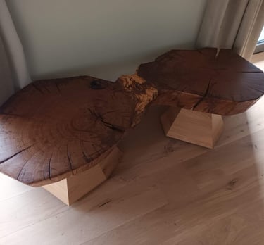 Designer-Couchtisch in Eiche mit ganzer Baumscheibe