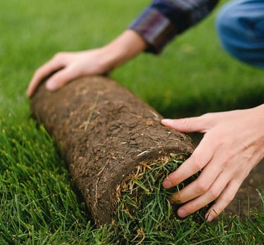 rozwijanie trawy w rolce przy zakładaniu trawnika