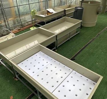 aquaponic kits