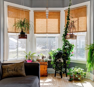 Sun entering a bay window 
