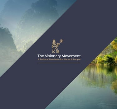 the visionary movement manifesto - front cover