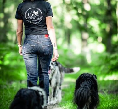 Promeneuse canin pour Viens Balader mon chien