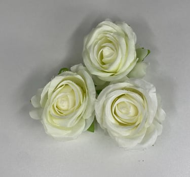 NR cake design