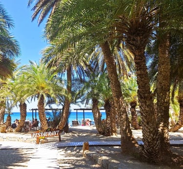 Vai Beach with palm trees and blue sea