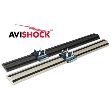 avishock picture