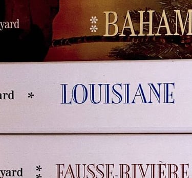 Photo bibliotheque de roman afdp39 science-fiction-techno-thriller-aventure