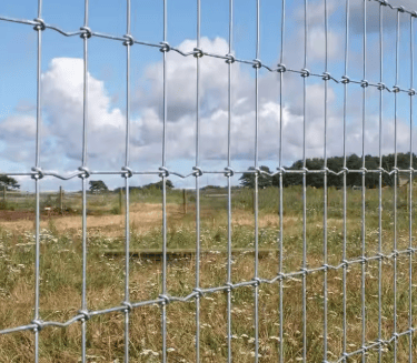 Galvanized metal livestock fence (cattle panel) used for pasture enclosure in outdoor farming
