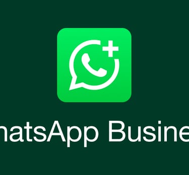 WHATSAPP-BUSINESS-TRÁFEGO-PAGO-MARKETING-DIGITAL-MAQUINA-DE-VENDAS-ESTRUTURA-DE-VENDAS