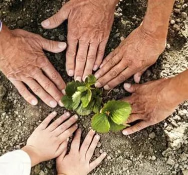 Hands in the community working together to foster life and growth.