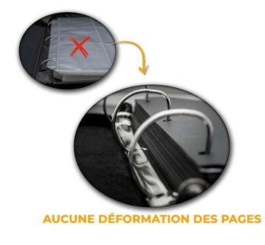 Anneaux en D classeur cartes