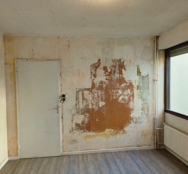 studio en cours de rénovation tout le revêtement mural est enlever
