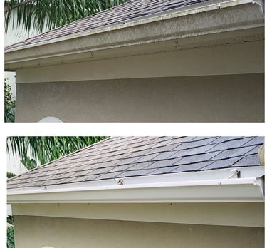 gutter cleaning new port richey fl