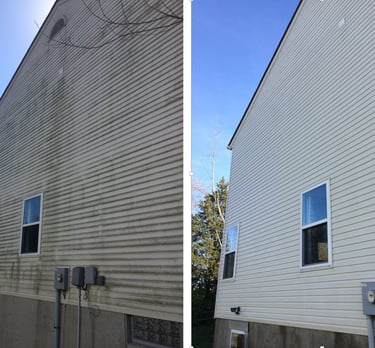 Before and after vinyl siding cleaning removing algae and dirt in Holiday, Pasco County