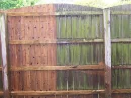 Fence algae removal before and after Land O' Lakes FL
