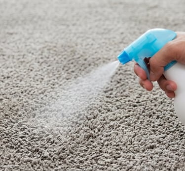 Carpet being sprayed for odour & stain removal
