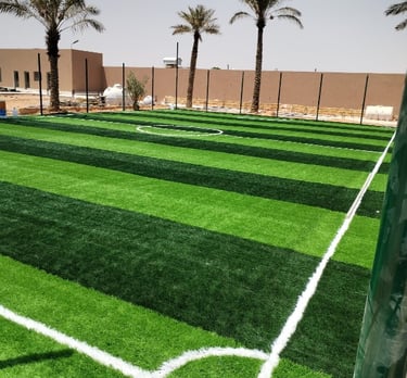 الملاعب الرياضية  