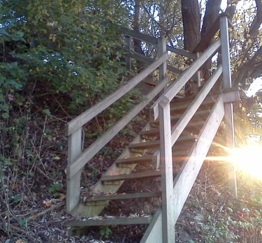 Stairs to Lake Erie