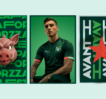 projeto-identidade-visual-meu-verdao-porco-mascote