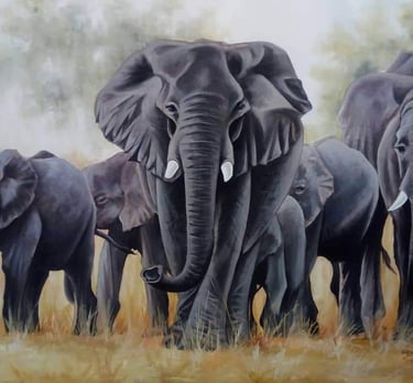 IRES Troupeau d'éléphants africains