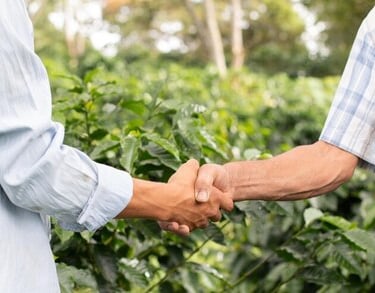 farmers shakehands surrounded by coffee fields