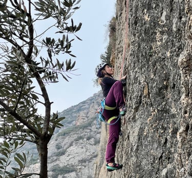 guide escalade