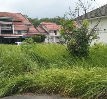 Properti Pekanbaru