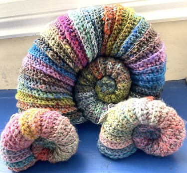 Angela Myers ammonites