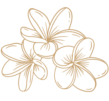 frangipani