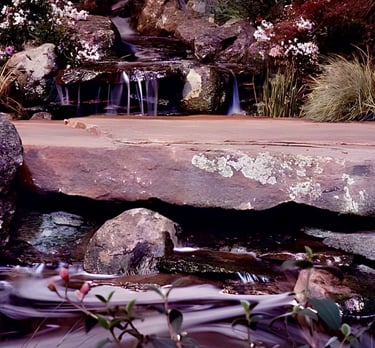 Natural pool with waterfall & 4m flagstone bridge | SF Garden Show award winner | Aqua Vitae