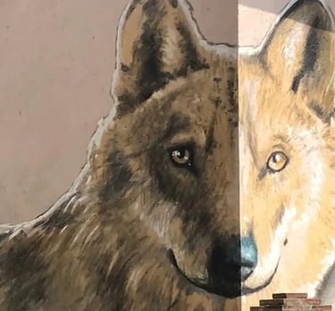 Murales del lupo di braccano il paese dei murales che si trova accanto a Matelica