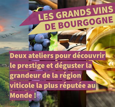 grands vins bourgogne cours oenologie lyon
