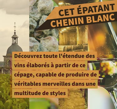 cours oenologie vin chenin loire