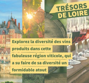 cours oenologie vin loire