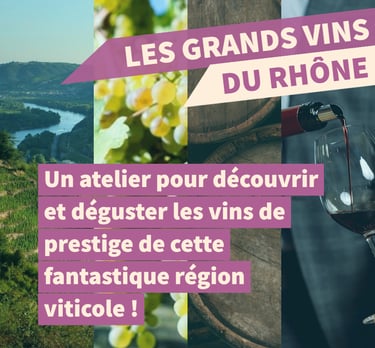 cours oenologie vin rhone