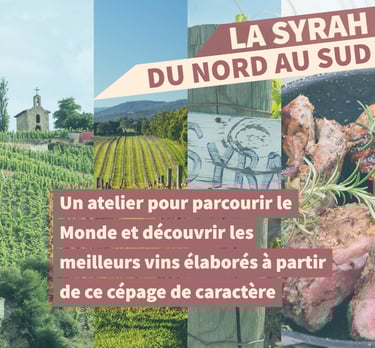 cours oenologie vin syrah rhone