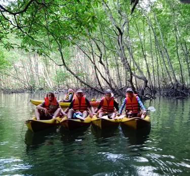 krabi ao thalane mangrove forest kayaking