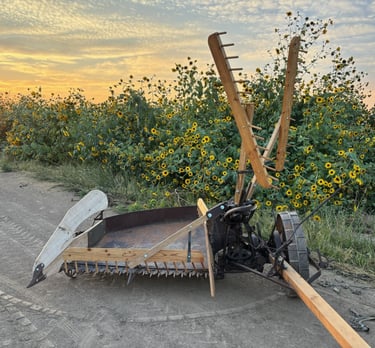 Restored McCormick Deering reaper