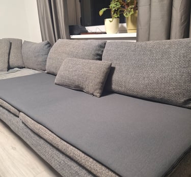 prekės šunims internetu (7)