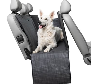 prekės šunims internetu BETABORA