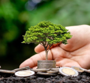 A hand scoping up a small money tree