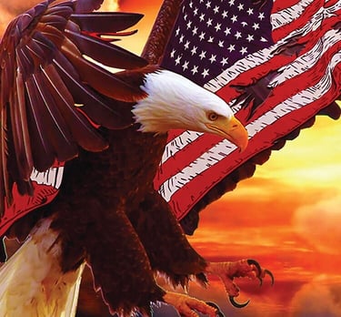 Bald Eagle with American Flag wings