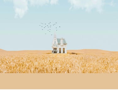 A house in a feild to represent BVG's commitment to a simple efficient Real Estate Transaction.