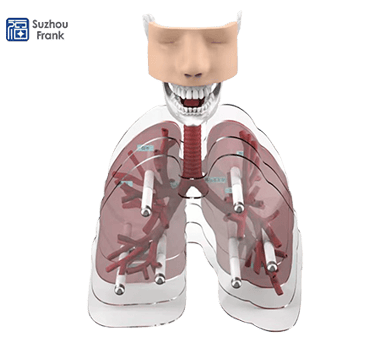 Suzhou Frank Bronchoscopy Simulator