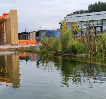 Montagem da residência com piscina natural e estufa integrada no urbanismo na Holanda