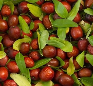 je veux rendre cette image profesionelle