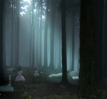 An eerie scene of misty graveyard.