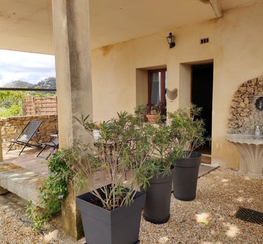 Terrasse La Maison d'Yvette Gîte en Provence au pied du Mont Ventoux