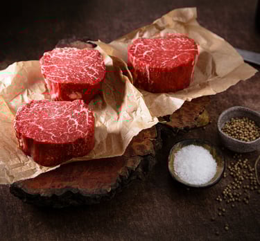 Healthier By The Page carnivore meal guide – fertility-focused nutrition plan with meat-based foods 